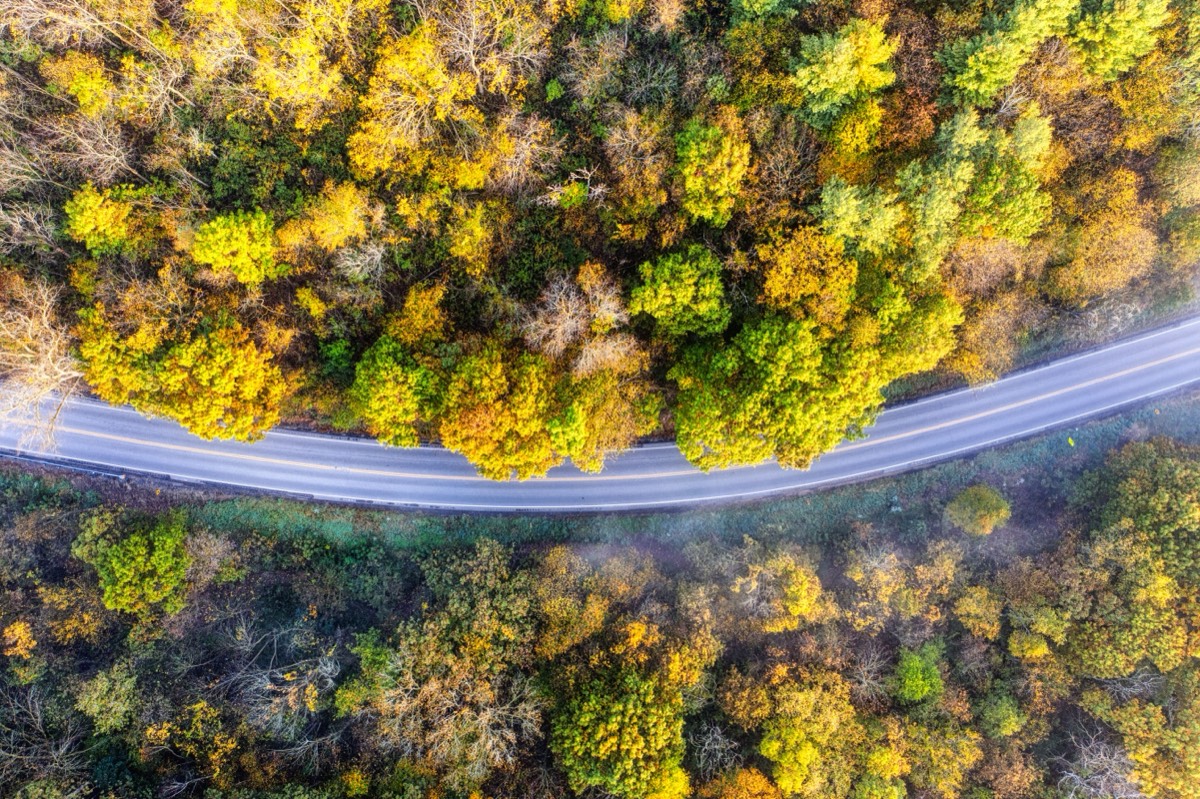 Luftaufnahme einer kurvenreichen Straße durch herbstlichen Wald