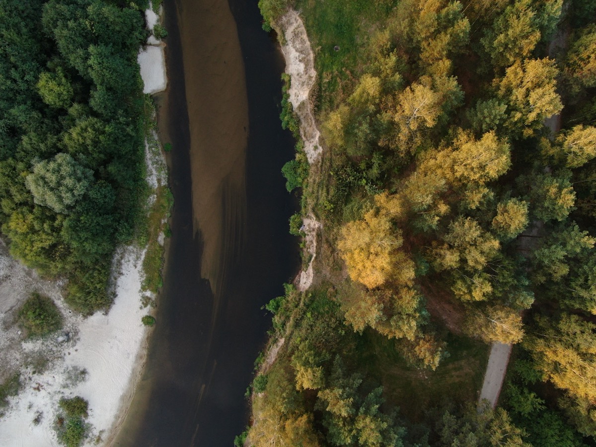 Luftaufnahme eines Flusslaufs durch herbstlichen Wald